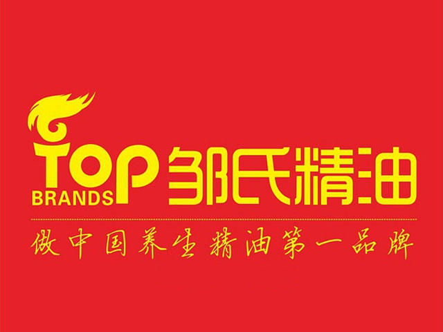 邹氏集团2